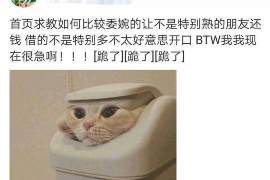 龙安龙安专业催债公司，专业催收